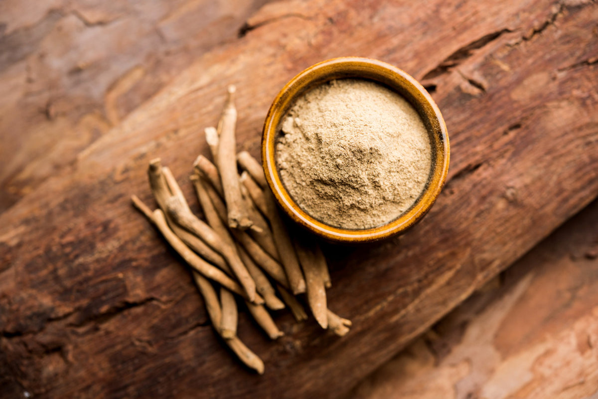 Ashwagandha roots next to a bowl of ashwagandha powder on weathered wood